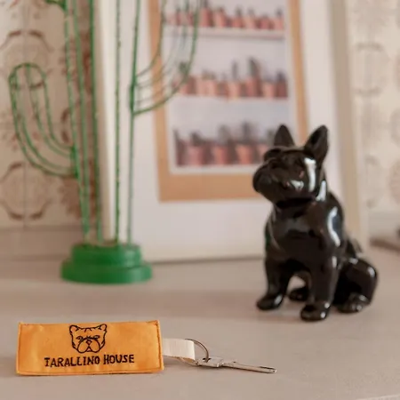 شقة Tarallino House